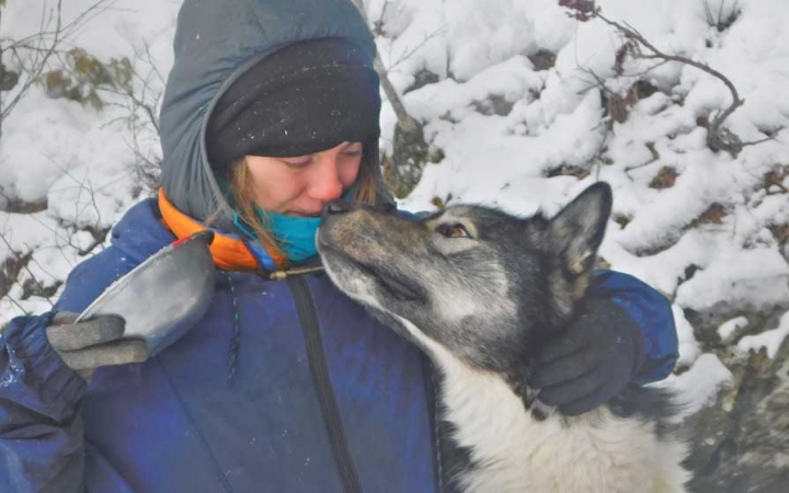 care for sled dogs